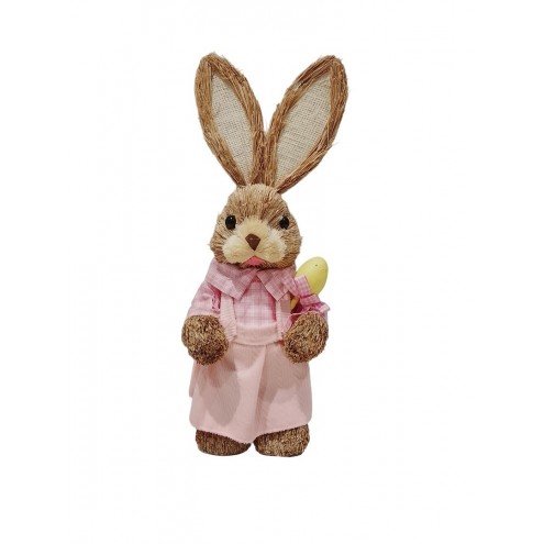 Conejo Pascua Vestido Rosa Huevo