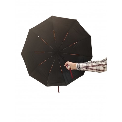 Paraguas Plegable Automático 10 2